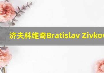 济夫科维奇Bratislav Zivkovic